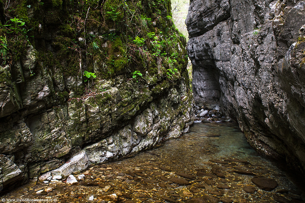 Canyoning in Toscana - CircuitoLuccaTurismo.it